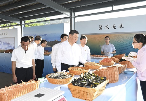 一見·從這個漁村，看鄉(xiāng)村全面振興大文章
