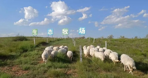 29年，跨越千里的閩寧“山海情”
