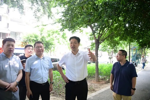 區政府主要領導帶隊督導登革熱防控、愛國衛生運動暨“護河愛水 清潔家園”專項行動，并開展“河長日”巡河工作
