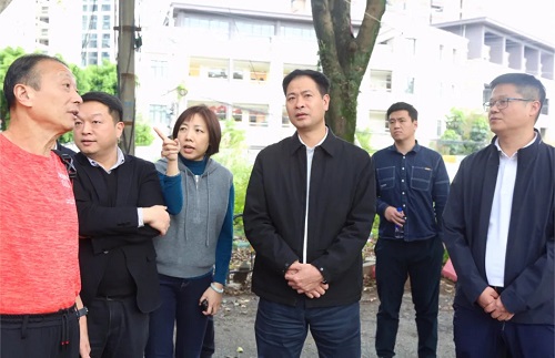 倉山區黨政主要領導調研清盤掃尾項目