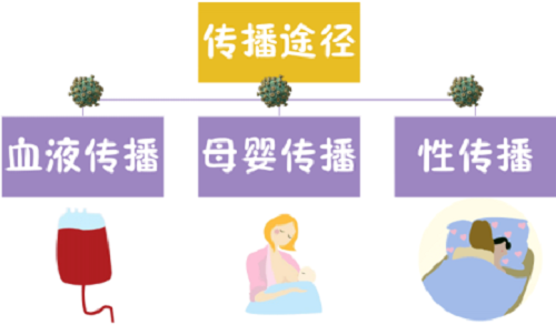 婦幼科普 | 給孕媽媽的一封信：消除“艾梅乙”，您要了解這些