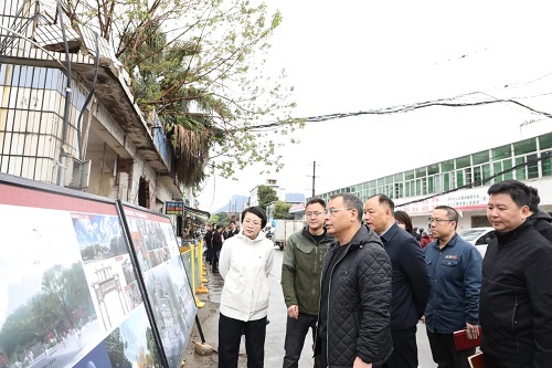【強產業 優環境】區委主要領導現場辦公推進螺洲古鎮文旅提升工作