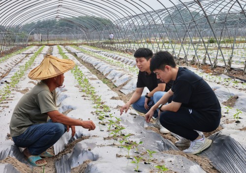 愛拼會贏奮勇爭先!人民日報點贊福建省黨員干部在產業發展和改革攻堅一線擔當作為 愛拼會贏奮勇爭先!人民日報點贊福建省黨員干部在產業發展和改革攻堅一線擔當作為