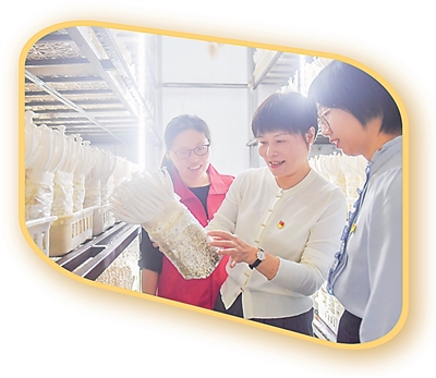 人民日報點贊福州羅源:黨建讓空心村實起來 人民日報點贊福州羅源:黨建讓空心村實起來