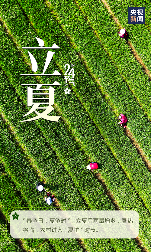 【網絡中國節·立夏】你好，夏天！