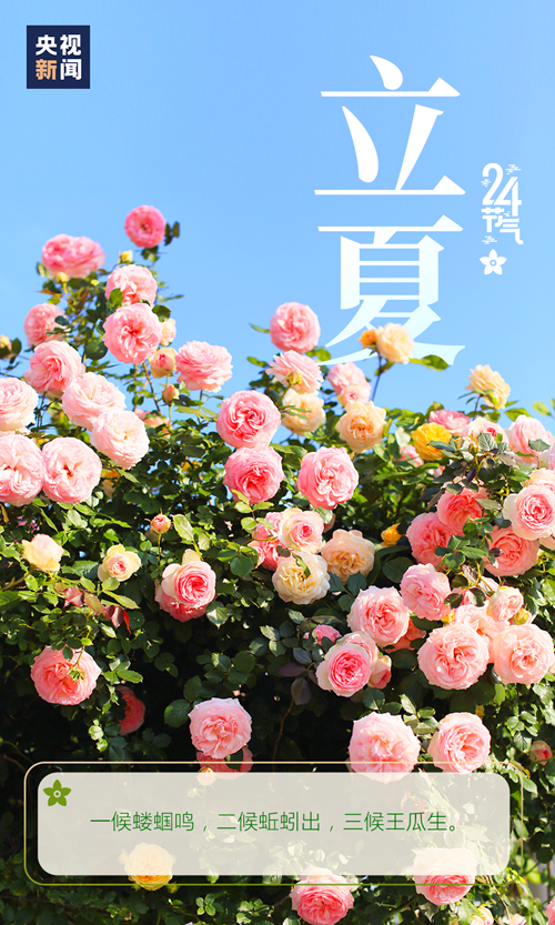 【網絡中國節·立夏】你好，夏天！