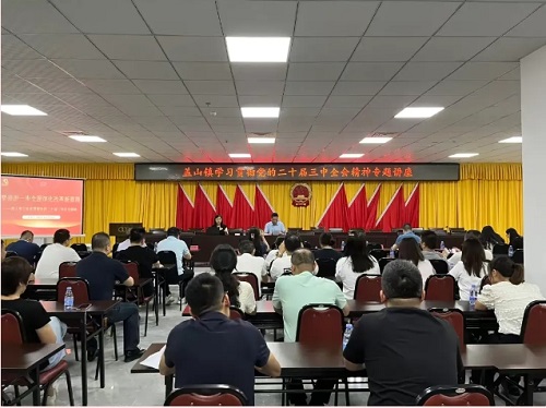 倉山區深入學習宣傳貫徹黨的二十屆三中全會精神（二）