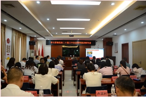 倉山區深入學習宣傳貫徹黨的二十屆三中全會精神（二）