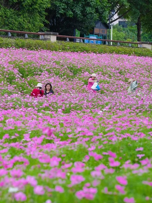超出片！福州這個公園“上新”！