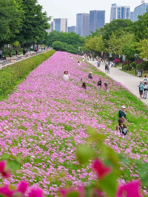 超出片！福州這個公園“上新”！
