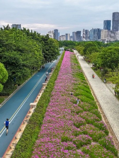 超出片！福州這個公園“上新”！