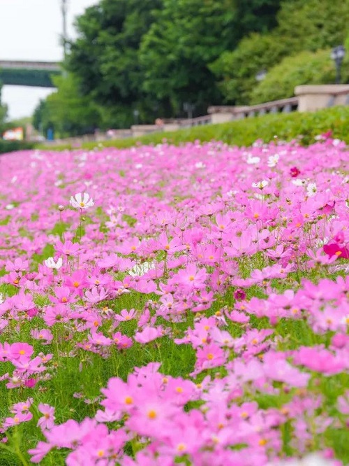 超出片！福州這個公園“上新”！