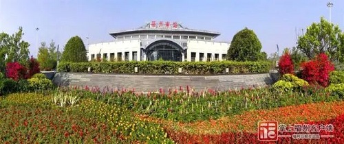 火車南站東側配套道路及景觀綠化工程（一期）項目29天完成征遷交地
