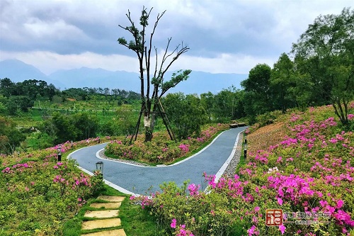 對標(biāo)國內(nèi)一流！三江口植物園將分四期建設(shè)
