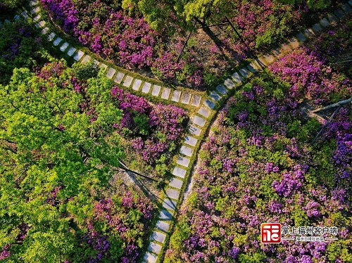 對標(biāo)國內(nèi)一流！三江口植物園將分四期建設(shè)