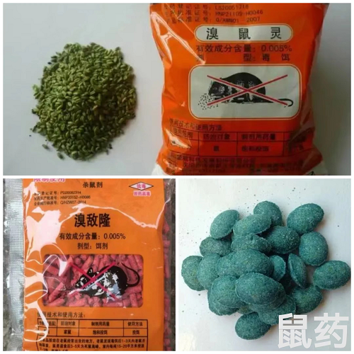 通告！！！倉山區(qū)將開展全區(qū)春季統(tǒng)一集中滅鼠